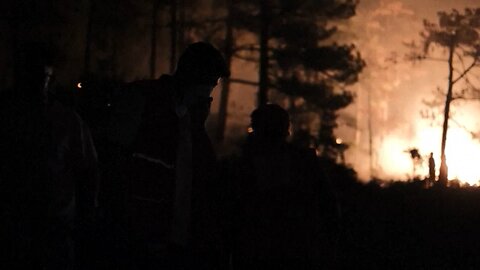 Locals and firefighters battle flames around Turkey's Bursa