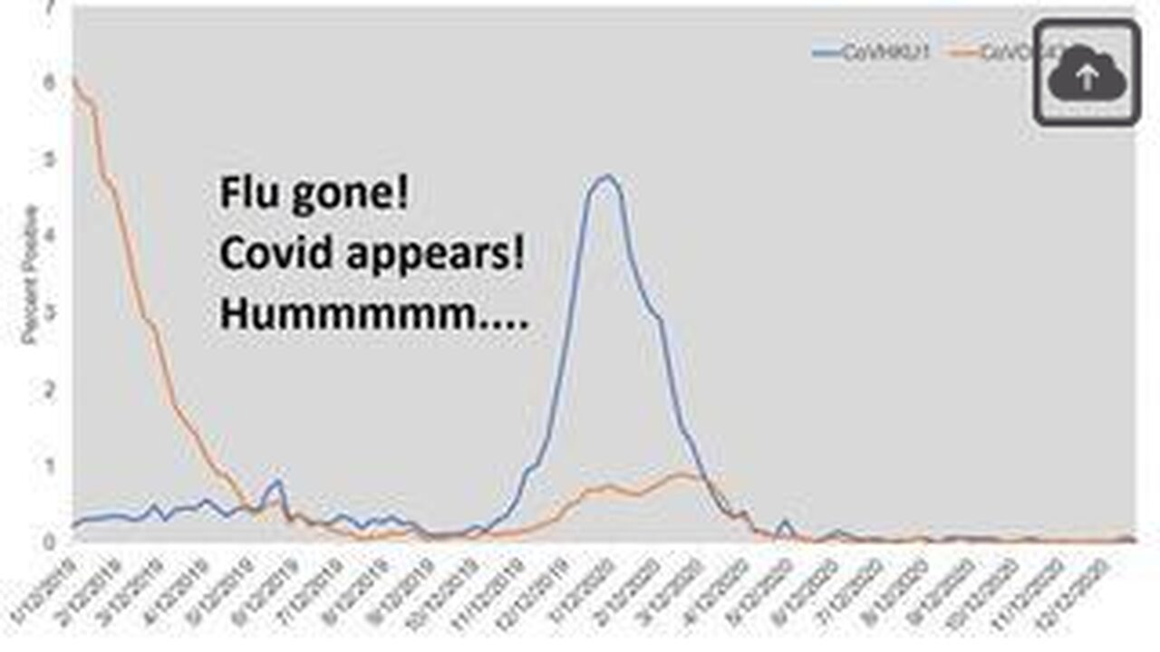 Year 2021 Rick Miracle Report #11, The Disappearing Flu