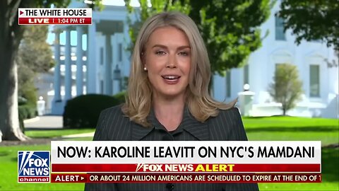 Did Karoline Leavitt pull a Hillary Clinton "Deplorable", or is it totally different?