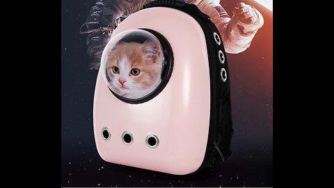 Give Your Baby A Window To The World - Not Your Regular Pet Carrier
