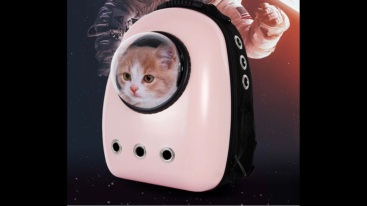 Give Your Baby A Window To The World - Not Your Regular Pet Carrier
