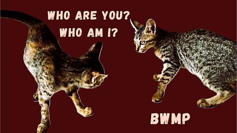 WHO ARE YOU? WHO AM I? - Bob Westfall Moonlight Poet / BWMP