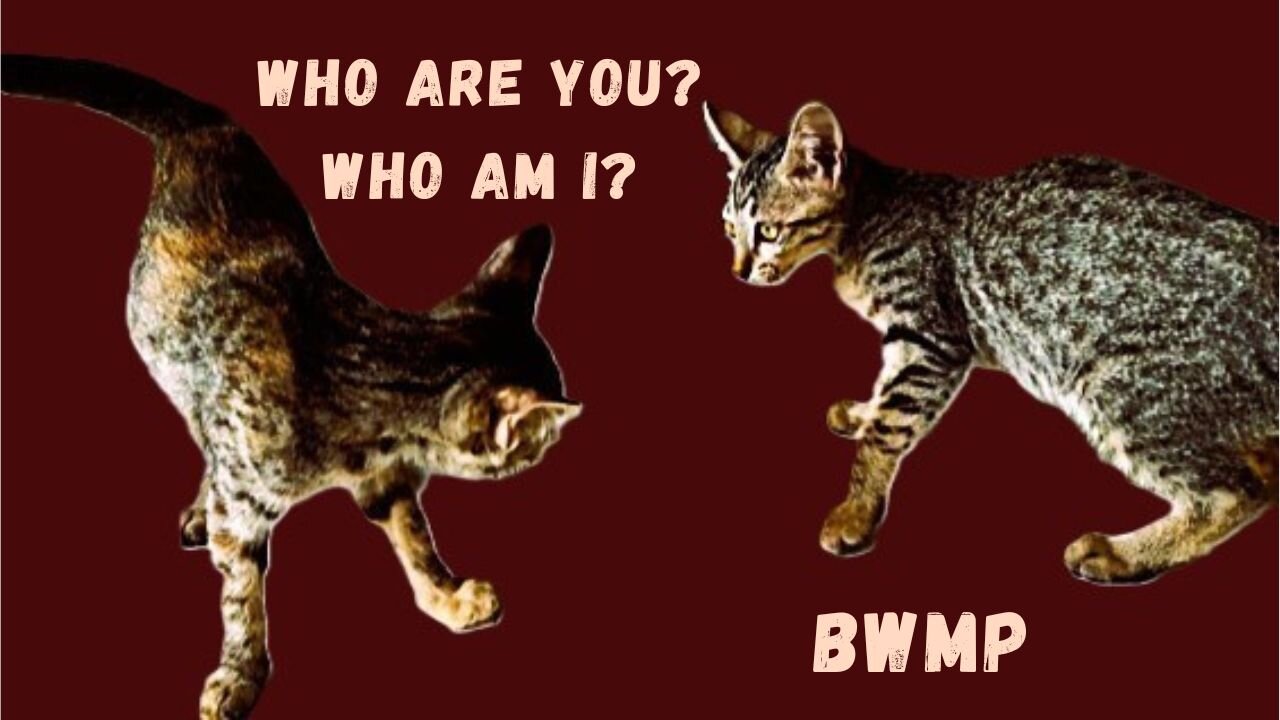 WHO ARE YOU? WHO AM I? - Bob Westfall Moonlight Poet / BWMP