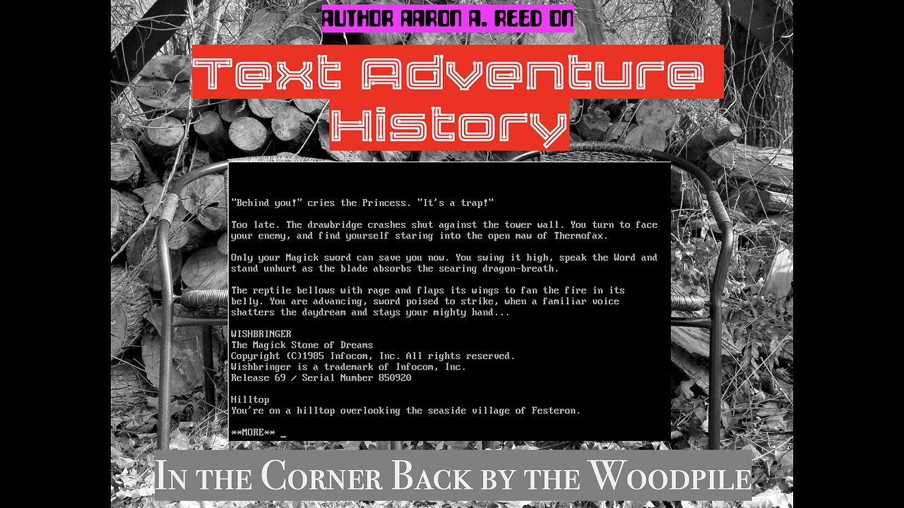 Text Adventure History (with Aaron A. Reed)