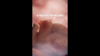 Witness the first movements of a baby's life