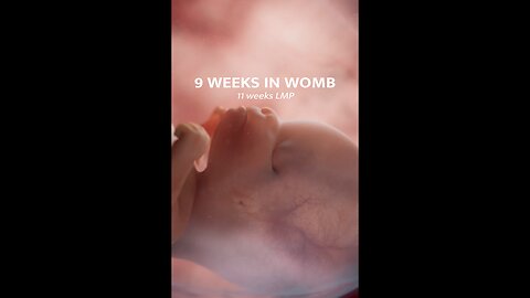 Witness the first movements of a baby's life