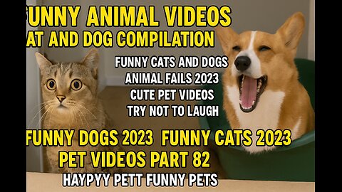 Funny Animal Videos 2023 🐾 Hilarious Cats & Dogs Compilation - Part 82 | Haypyy Pett