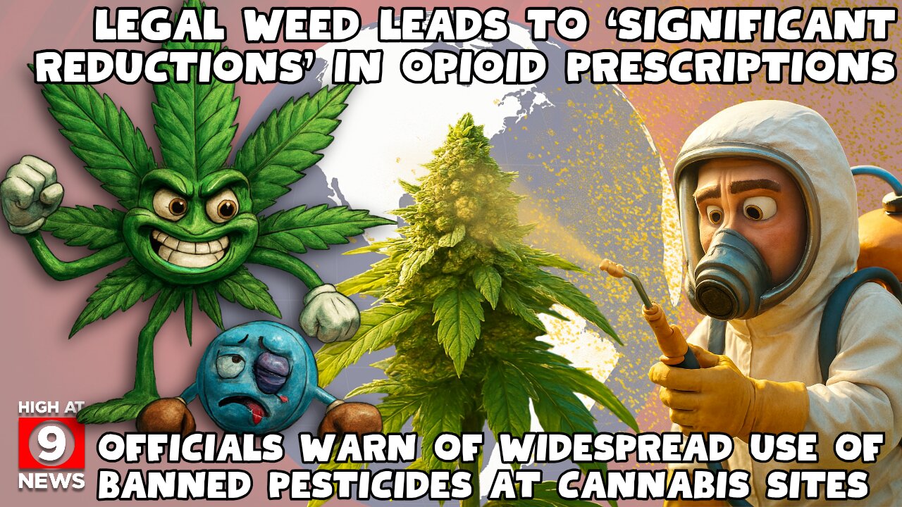 MAGA and Marijuana Might Become Best Buds
