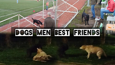 Dogs men best friends
