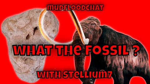 WHAT THE FOSSIL?! - Mud Flood Chat With Stellium7 (Philipp Druzhinen)