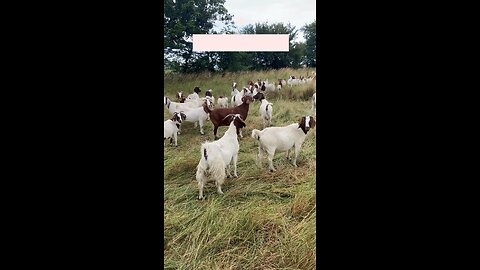 Weaning time