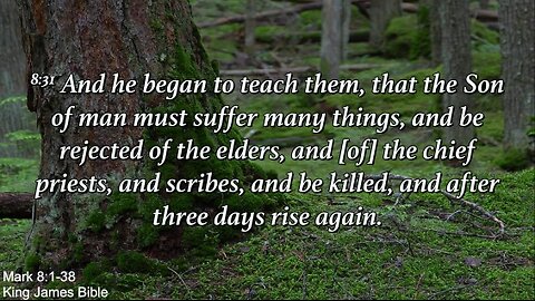 Sunday Evening, May 4th - He Began To Teach Them