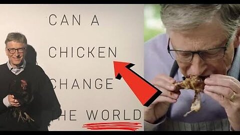 "Clucking Change: How Chickens Are Reshaping Our World (Can a Chicken Really Change the World?)"
