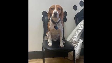 chair stream
