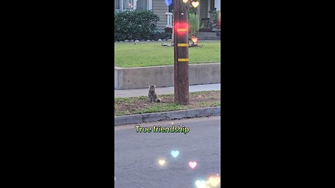 Happy Monday ☺️😊