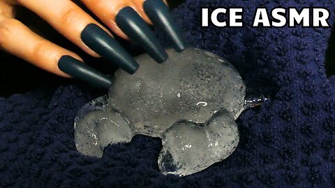 ASMR Tapping & Scratching Ice Critters (no talking)