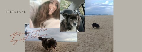 Winters afternoon with Florence 🐕🐾
