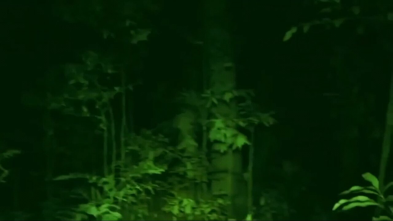 覚悟のある方だけご覧ください！霊的世界は冗談ではありません