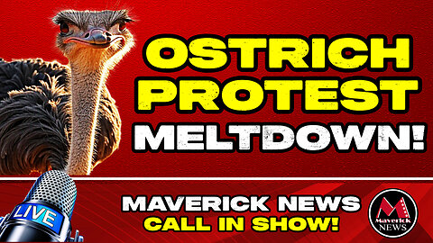 Emergency Call-In Show: Ostrich Farm Cull Chaos - Activists Divided