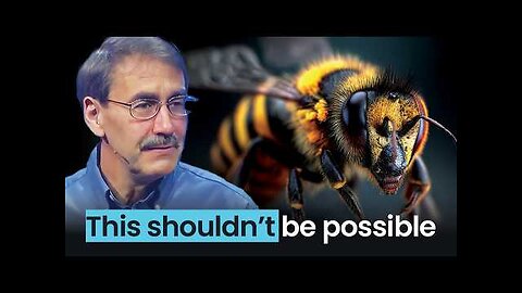 The Incredible Design of Honeybees: Proof of a Brilliant Creator