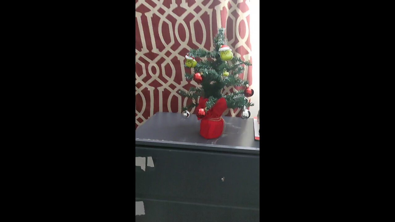 mini vets second video