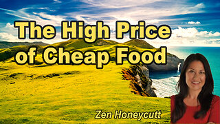 The High Cost of Cheap Food