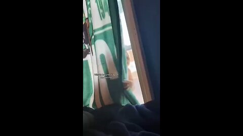 Love All Life Always #198 - Spooky Cat Moves And Eyes. A Cat Lovers Delight. Purrr-fect Music Too!