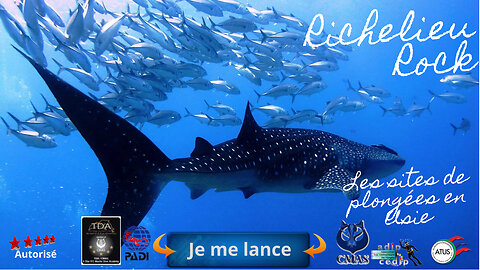 Sortie croisière aux iles Similans en 2025/2026