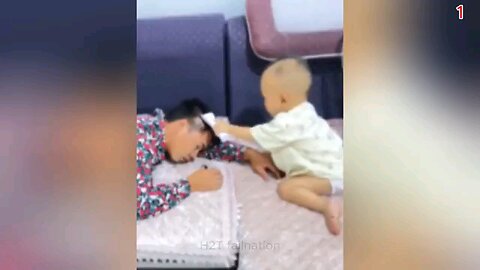 most funny video in the whole world