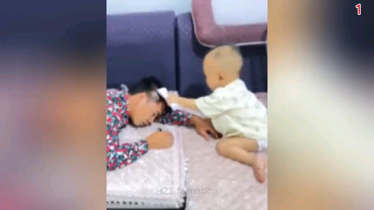 most funny video in the whole world