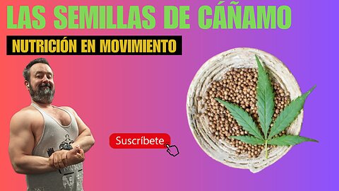 🧠 Cáñamo en tu Dieta: El Superalimento Que Mejora Tu Salud Física y Mental