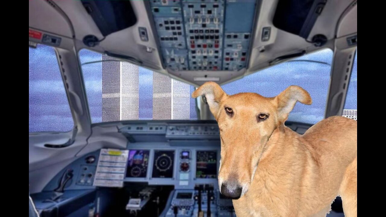 9/11