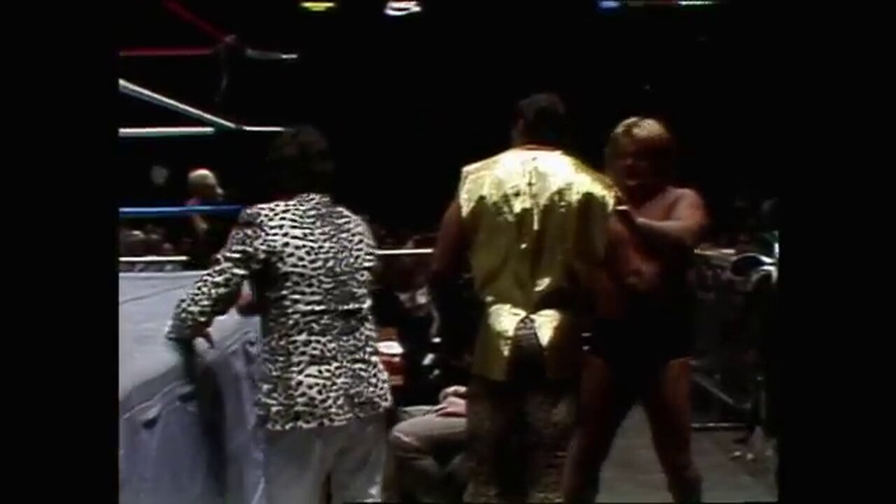 Brutus beefcake & Greg valentine-the dream team vs. Tito Santana & jyd