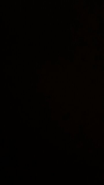 Gold Commodity Forecast