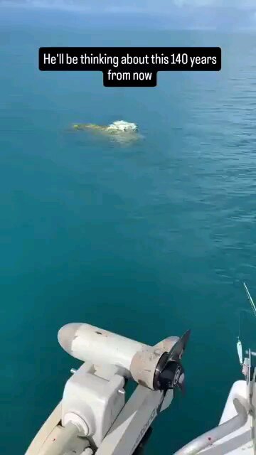 Love All Life Always #162 - Protect & Save! For The Love Of God's Creatures, Don't Trash This World!