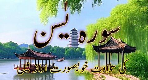 Surah al yaseen telawat