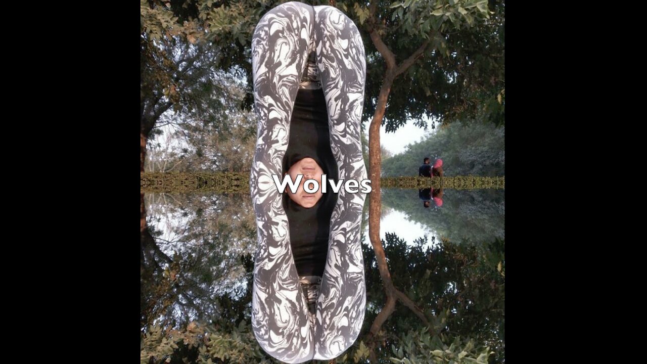 Wolves