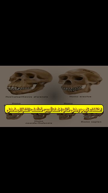 اختفاء تيمور: هل كانوا فضائيين؟ كشف اللغز المذهل! #تيمور #غموض #حضارات