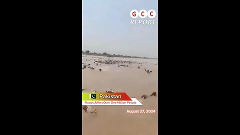 #Pakistan #Floods #ExtremeWeather #ClimateCrisis #weather #climate #destruction #anomaly