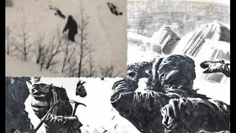 Yeti found on mystery trail area of the Himalayas