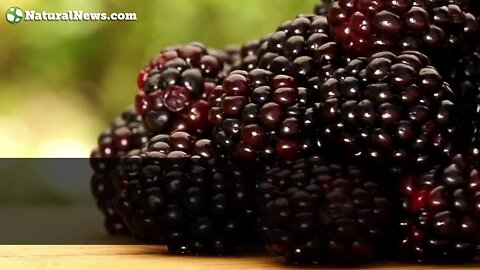 "8 Nutritious Berries to Include in Your Diet"