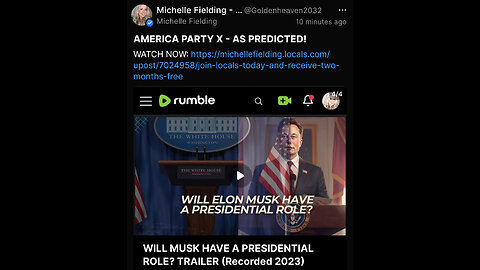 AMERICA PARTY X - ELON MUSK