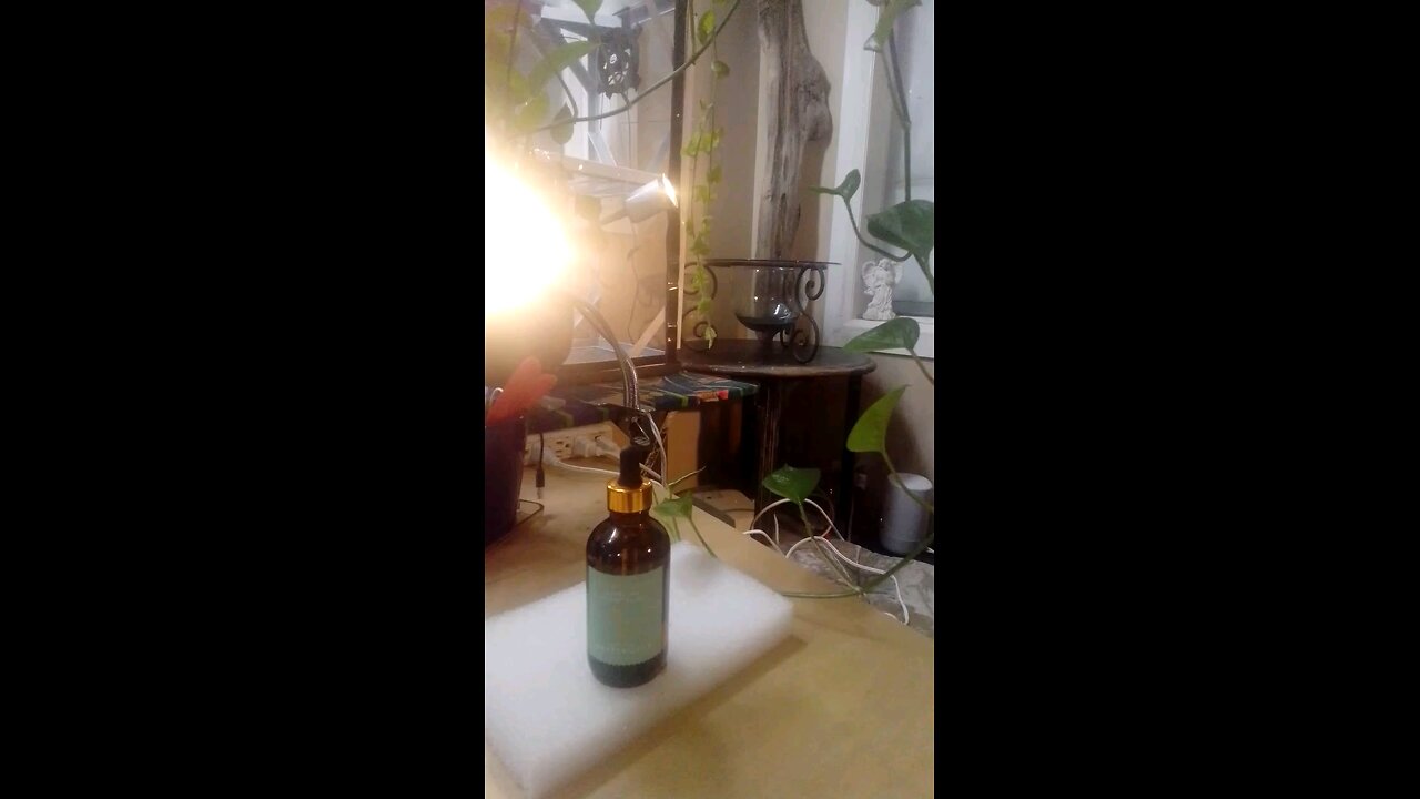 peppermint essential oil review