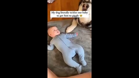 this is too cute 😍🥰 1 like Pair.