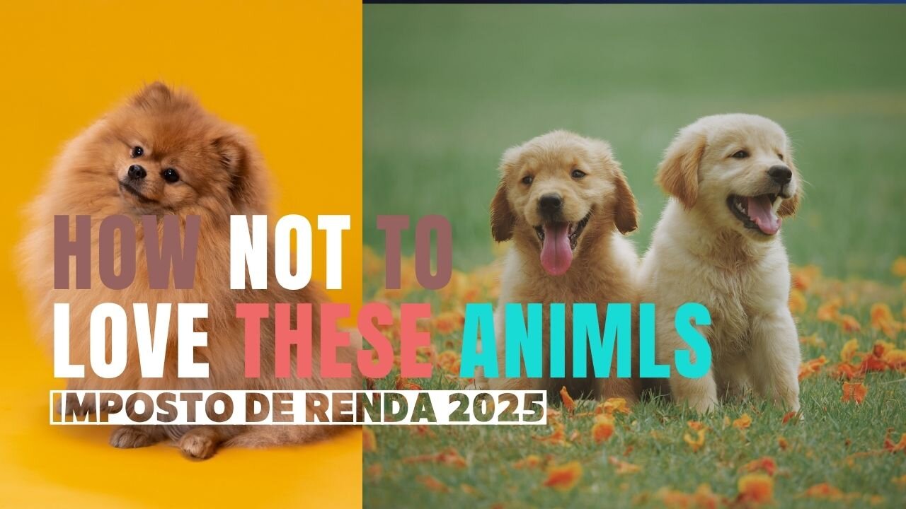 HOW NOT LOVETHESE ANIMALS