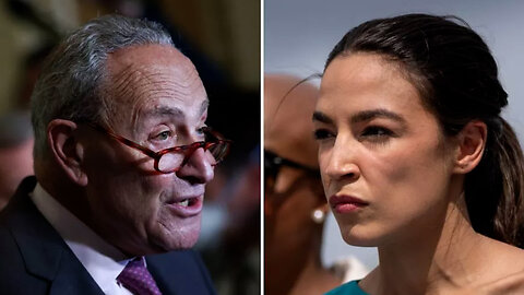 "GOVERNMENT SHUTDOWN" - SCHUMER VS. PROGRESSIVES. Who's right? BOTH of 'em!