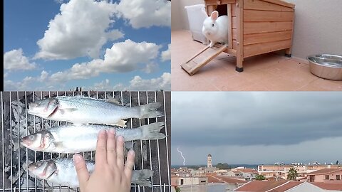 A Peaceful Day Turns into a Rainstorm – 25 Min Thunderstorm Sounds for Relaxation