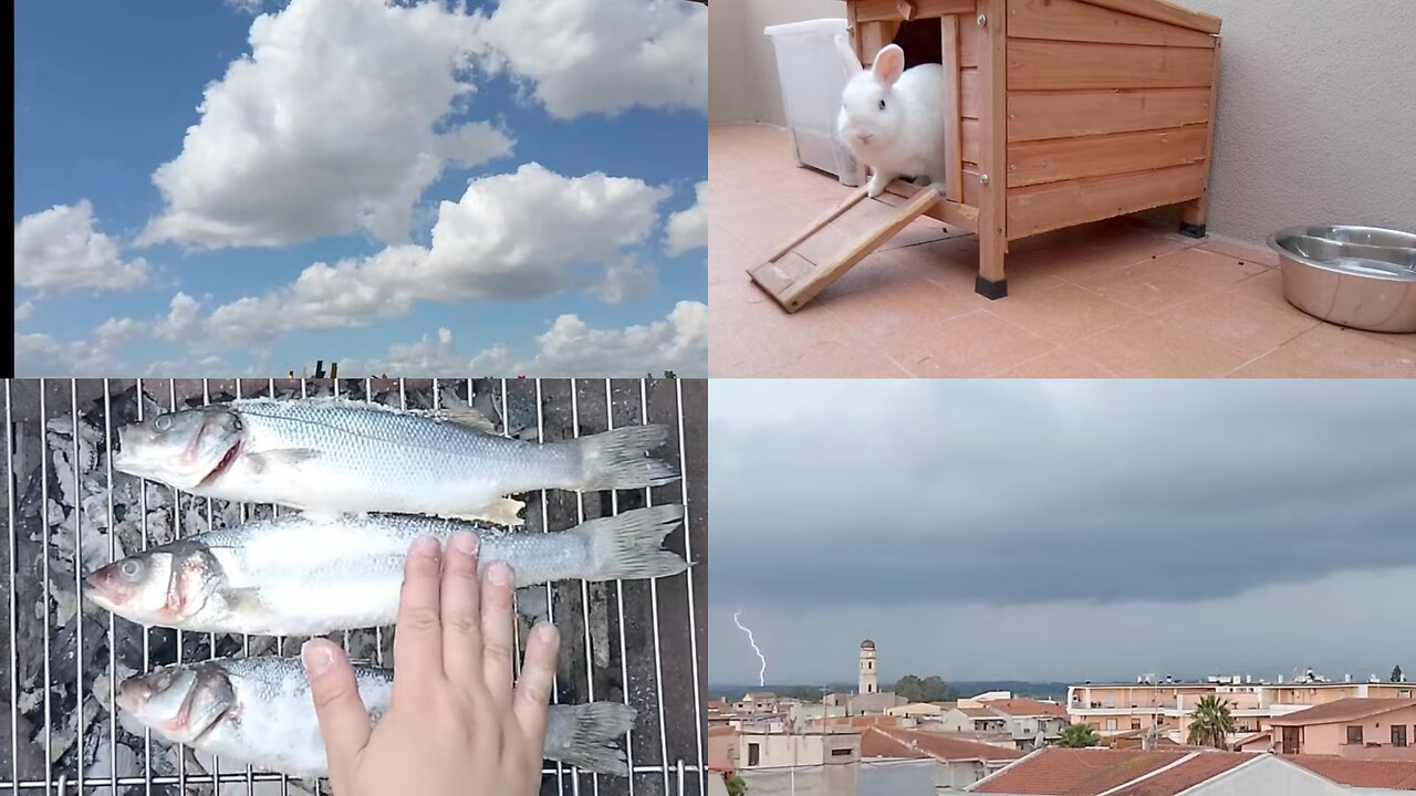 A Peaceful Day Turns into a Rainstorm – 25 Min Thunderstorm Sounds for Relaxation