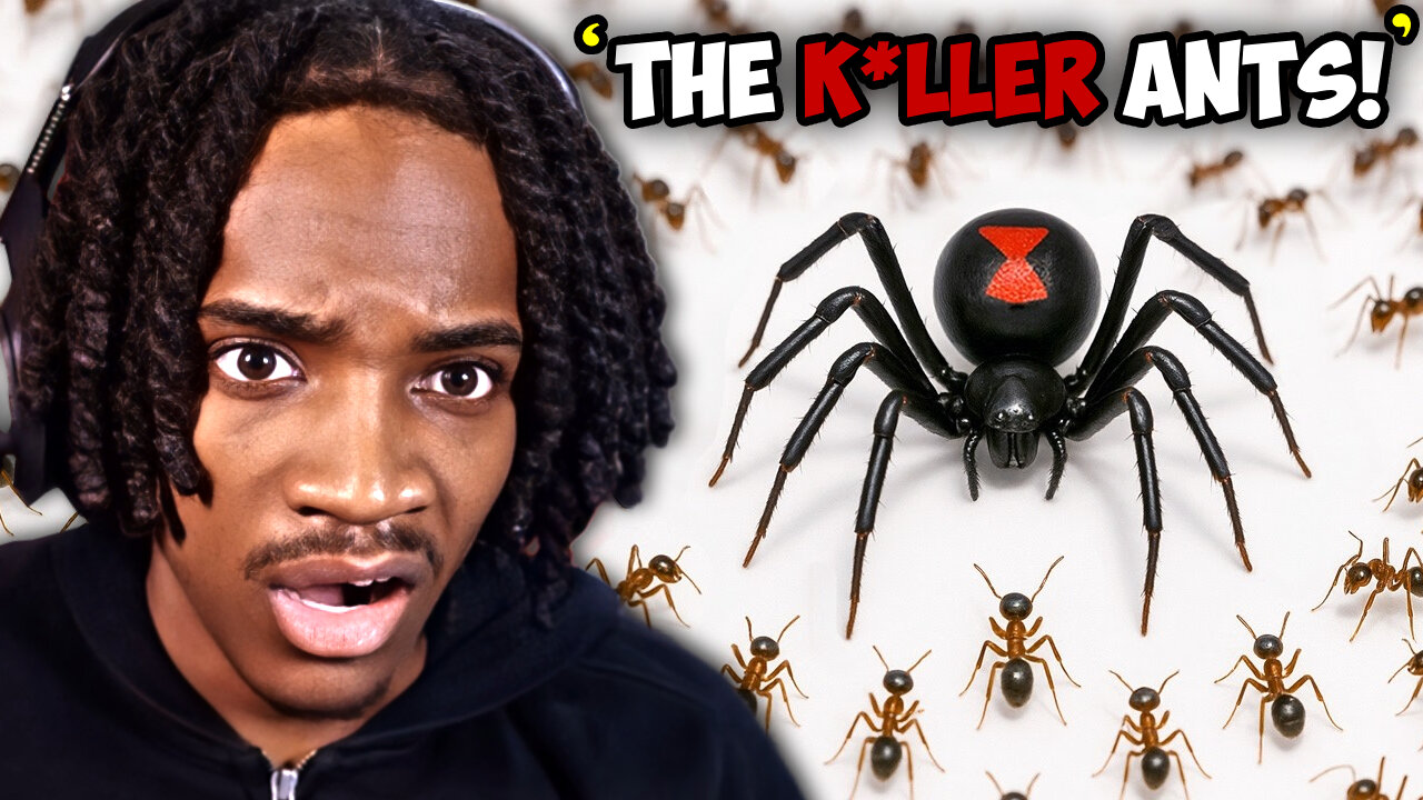1000 Killer Ants vs ONE Deadly Black Widow! | Vince Reacts to Insect Battles