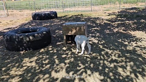 Graham Family Farm NW: 9:30 AM June 29 2025